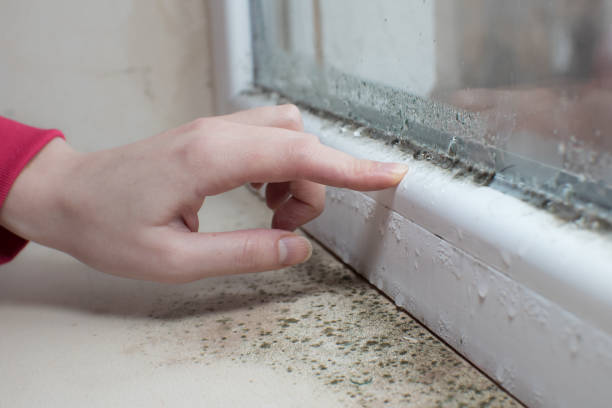 Best Indoor Air Quality Assessment  in North Wildwood, NJ