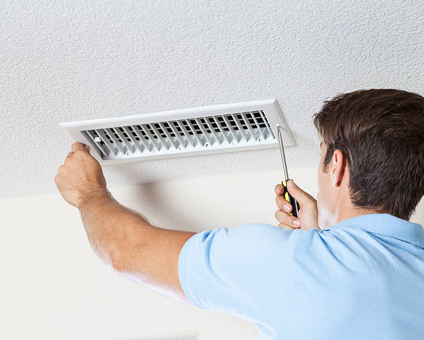 North Wildwood, NJ Mold Removal Company